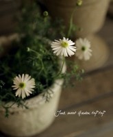 ֤<BR>ɺ֥饭<BR>إࡼ饤ȡ3