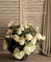 ˢ꡼٥˥<BR> ꥶ١ȡ<BR>7