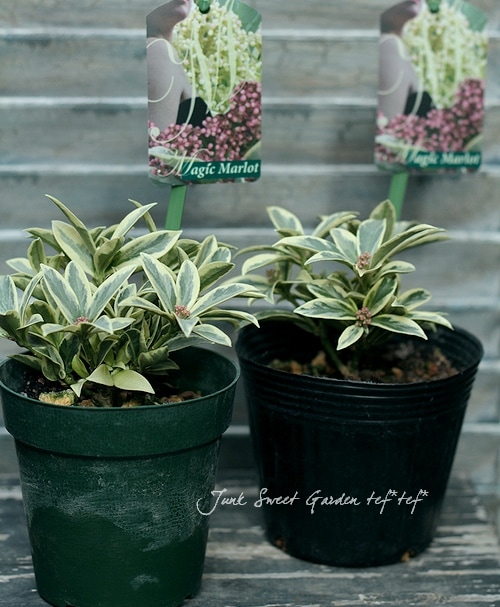 maruko 様 Amazon | マルト(MARUTO) 大久保製作所(Okubo Seisakusyo) DX新聞