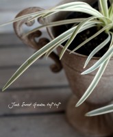 Ķѥ󥵥إƥ󥫡٥