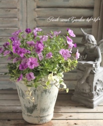 ڻߡۥХӥ󡡥ȥݥå