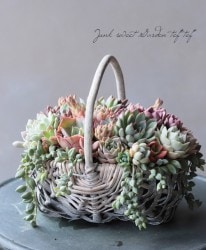 �ڻ��ߡ� ���졼�١����忧���Х����åȡ�S������