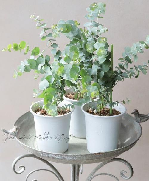 �桼���ꡡ�إ٥��ӡ��֥롼�֡����١�