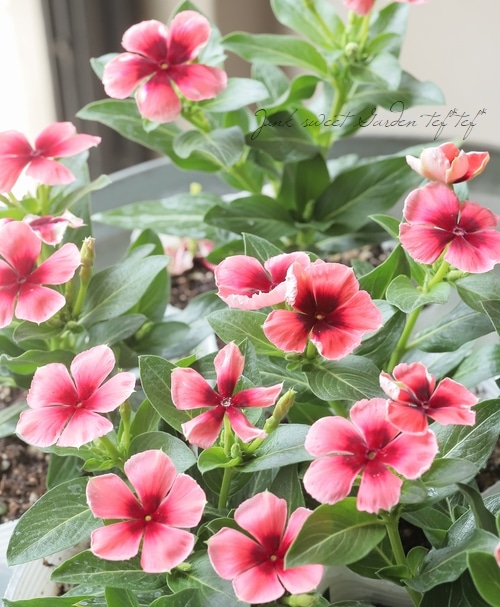 9_000000021300.jpg?1719208613