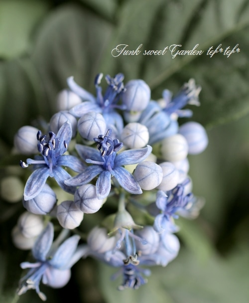 ���С�����ϡ��ﻳ���۲֡����ˤ�Ʒ��