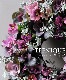 �ڴ󤻿�����-TEFNIQUE-�󤻿����꡼�� 2024 * no.26 *����Ͳİ����߷ʿ���Xmas�꡼����