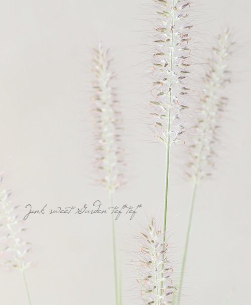 ���Ͼ����ʤ�10��off�ۡڥ��饹��ʪ�ۥڥ˥����ࡦ�����ڥ������ǥ� �إ�����ǥ��󥹡� 