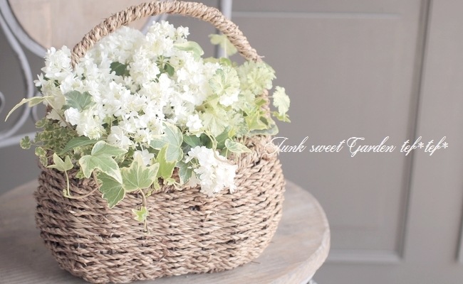 送料ラッピング無料 母の日tef Tef 寄せ植え 花笠のグリーンホワイトのバスケット 寄せ植え Junk Sweet Garden Tef Tef 送料ラッピング無料 母の日tef Tef 寄せ植え 花笠のグリーンホワイトのバスケット 寄せ植え Junk Sweet Garden Tef Tef