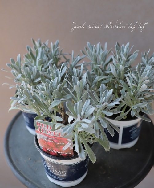 �������ʽɺ��� �إꥯ�ꥵ�� �إ�åɥ��奨���