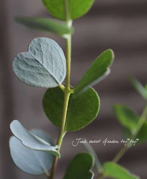 �������ϡ��ȥ꡼�ա��桼���ꡡ�إ����֥��ƥꥢ�ʡ�