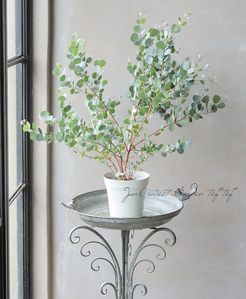 �������ϡ��ȥ꡼�ա��桼���ꡡ�إ����֥��ƥꥢ�ʡ�