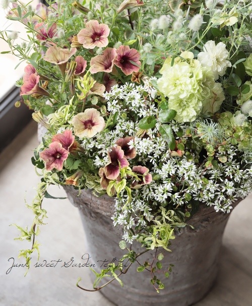 拡大イメージ表示