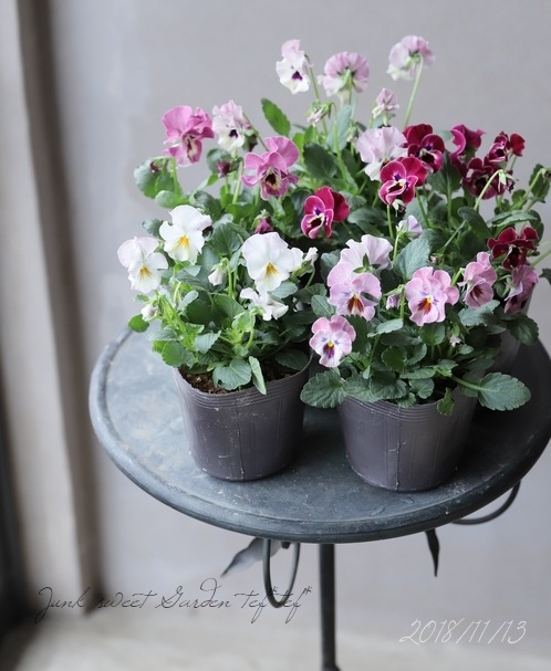 �ڸ���쥢�ۤߤ�ȥץ�ߥ���ӥ��顦΢����ʼNo.1