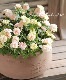 �ߥ˥Х顡�إ��꡼�󥢥�����