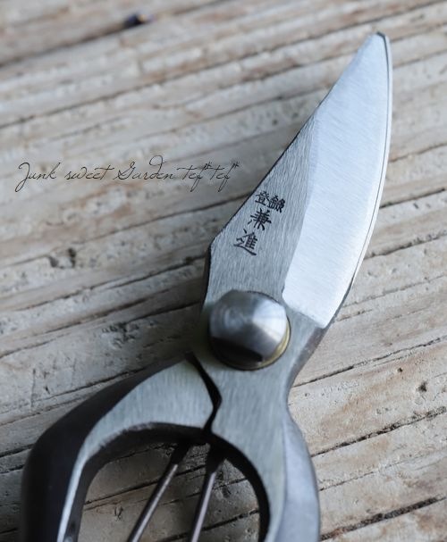 tef*tef*åհʡ¤ ߤ᥿סڥ᡼زǽ