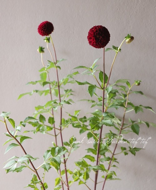 �ݤ�ݤ�餭���ꥢ���إ�åɡ�