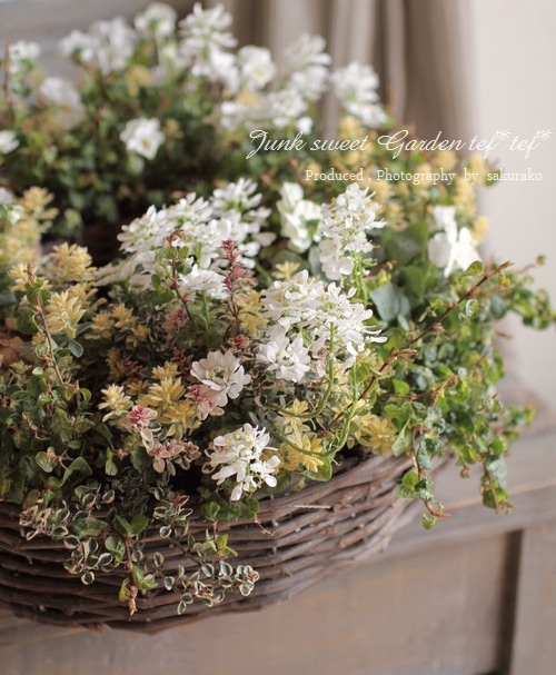 ロータス 『ブリムストーン』 | すべての商品 | | Junk sweet