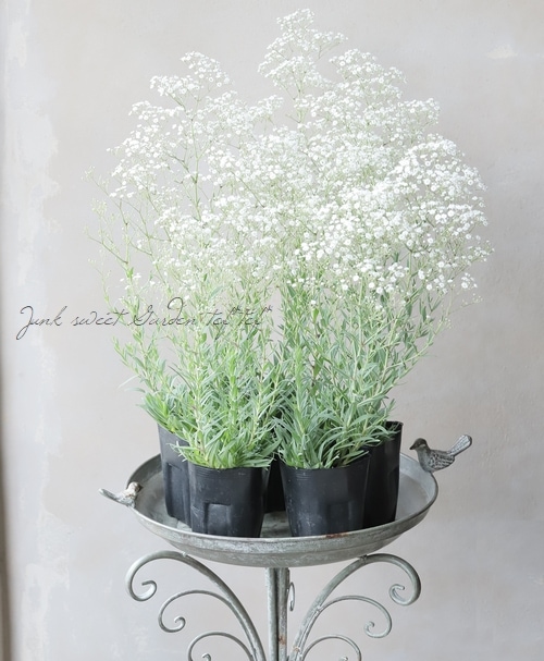 ɺ𡡡إޡѡ쥹 Ƥ餯