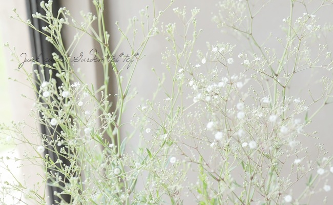 ɺ𡡡إޡѡ쥹 Ƥ餯