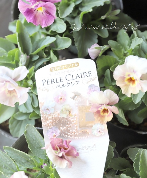 ���ե��餭���إѥ󥸡����إڥ륯�쥢�� �����¥��ꥸ�ʥ�