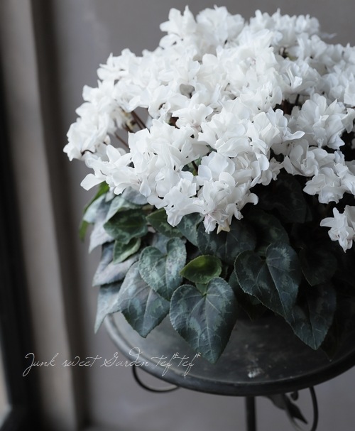 �������󡡡إ��ꥢ��ۥ磻�ȡ١�