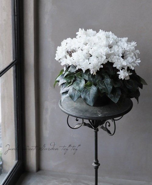 �������󡡡إ��ꥢ��ۥ磻�ȡ١�