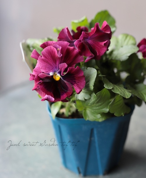 ����ƣ����������ɥѥ󥸡����إɥ饭����