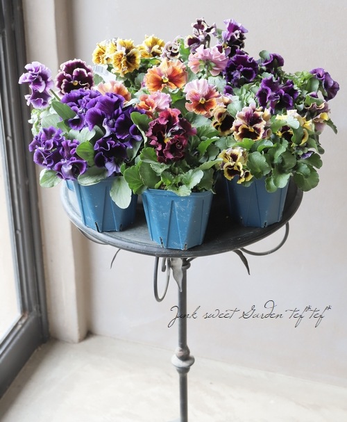 ����ƣ����������ɥѥ󥸡����إɥ饭����