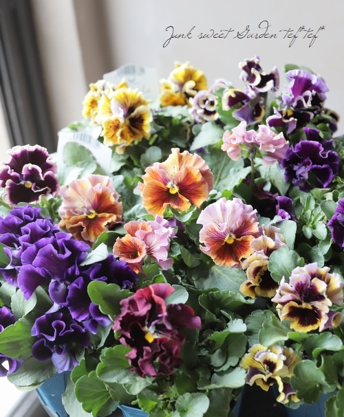 ����ƣ����������ɥѥ󥸡����إɥ饭����