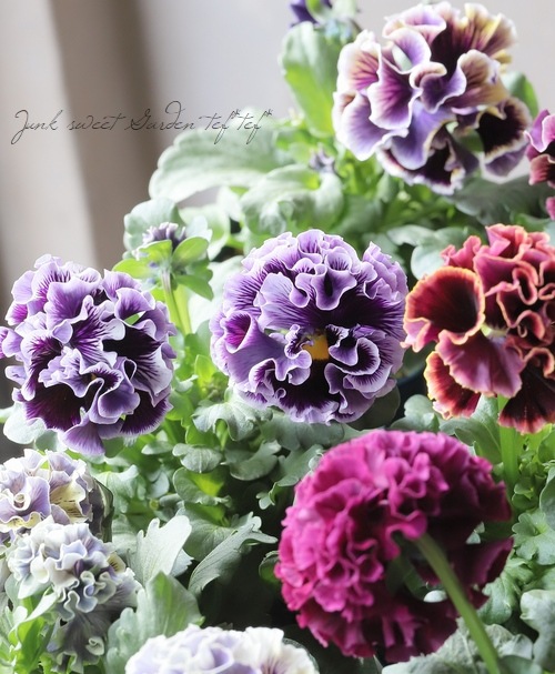 ����ƣ����������ɥѥ󥸡����إɥ饭����