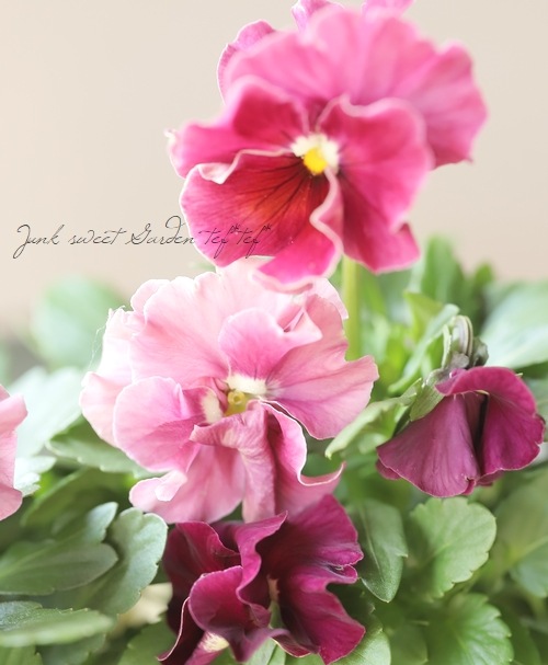 2_000000022602.jpg?1763130574