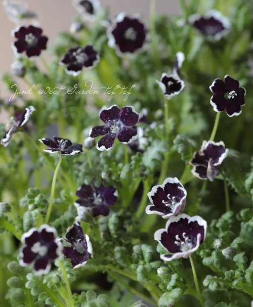 ペニーブラック　1840年 ペニーブラック 1840年 ペニーブラック 1840年 The 1840 Penny Black