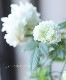 �إܥ���Υ��Х�١���̾�إȥ��󥤥Х�١إȥ���Х��