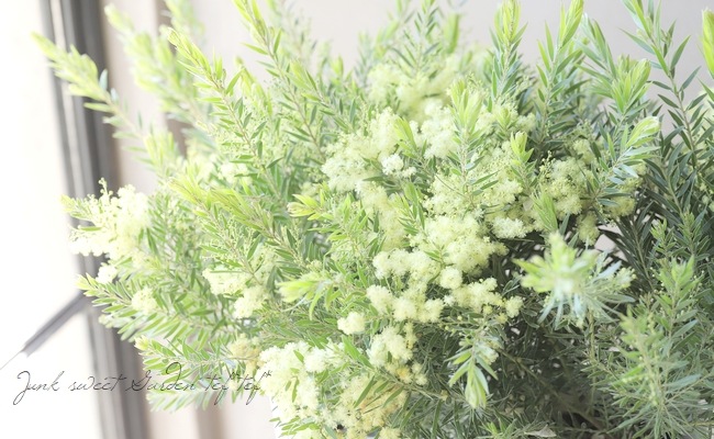 �����������ե���֥ꥢ���� �ɥ������� �إƥ쥵��