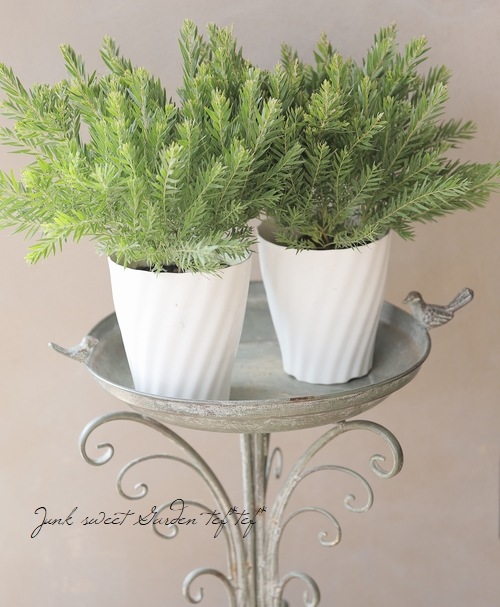 �����������ե���֥ꥢ���� �ɥ������� �إƥ쥵��