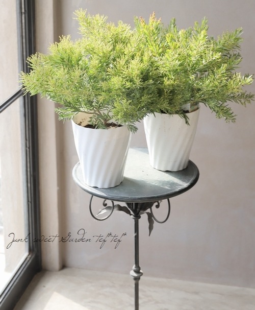 �����������ե���֥ꥢ���� �ɥ������� �إƥ쥵��