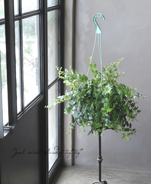 �ڴ��տ�ʪ�� �������ʥ󥵥� �إ�åɥ�������