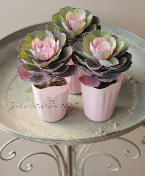 ���ղ�ð�����Ρ����������ؼ벻 -������-�١��ۥ磻��