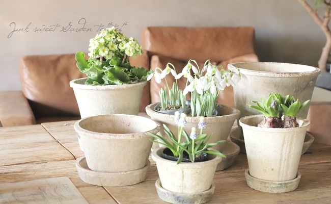 �ڻ��ߡ� �⥹�ݥåȡ�����������ɡ�����ƥ������ۥ磻�� S