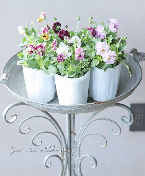 ���ե��餭�ӥ��顡�إƥ������ɡ� �����¥��ꥸ�ʥ�