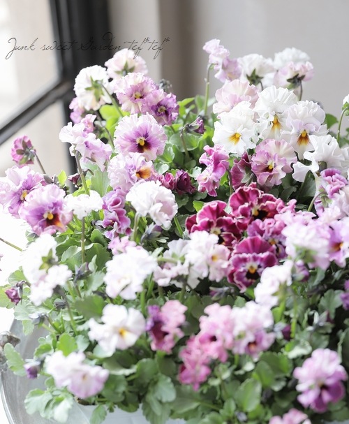 ���ե��餭�ӥ��顡�إƥ������ɡ� �����¥��ꥸ�ʥ�