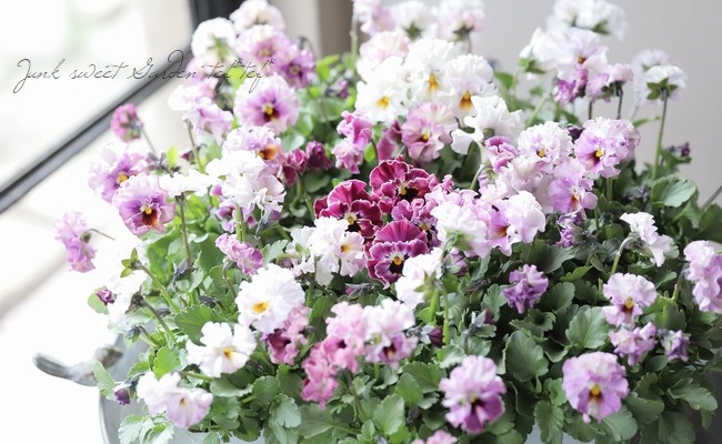 ���ե��餭�ӥ��顡�إƥ������ɡ� �����¥��ꥸ�ʥ�