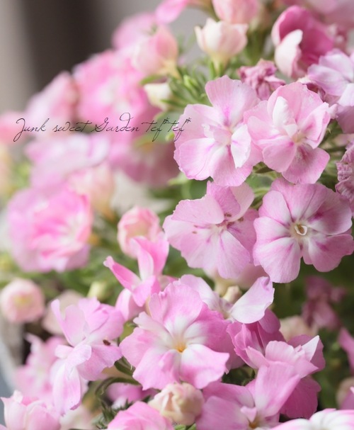 �����ե��å������إ롦�֥��١��饤��å�