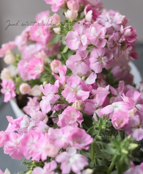 �����ե��å������إ롦�֥��١��饤��å�