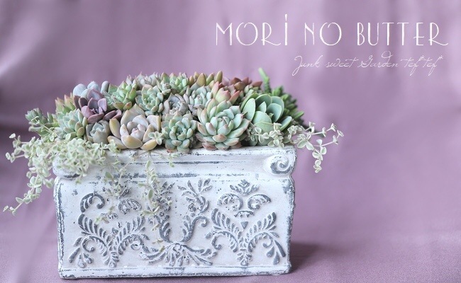 TEFNIQUE-多肉植物の寄せ植え 2019 * no.82 * 『ふわふわパステル