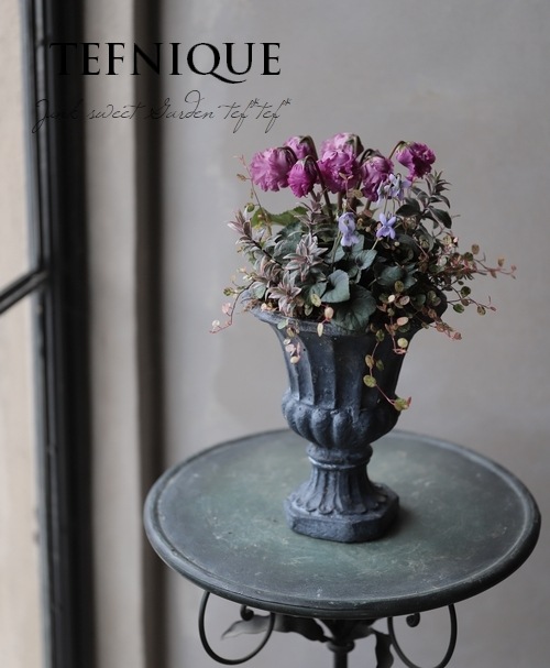 TEFNIQUE-寄せ植え 2020 * no.51 * 『ロココスタイルな寄せ植え