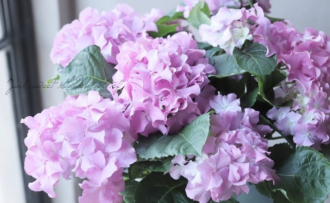 クレイフラワー 紫陽花(ピンク) little.t様♡専用 クレイフラワー 紫陽花(ピンク) little.t様♡専用 - メルカリ