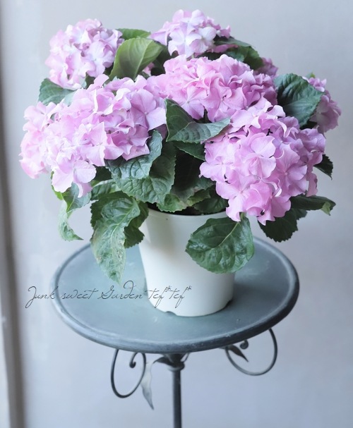 クレイフラワー 紫陽花(ピンク) little.t様♡専用 クレイフラワー 紫陽花(ピンク) little.t様♡専用 クレイ