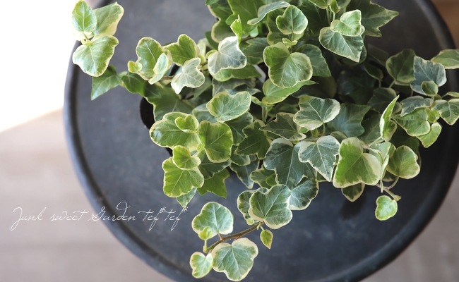 �إǥ顡�إۥ磻�ȥ�����2�١�����