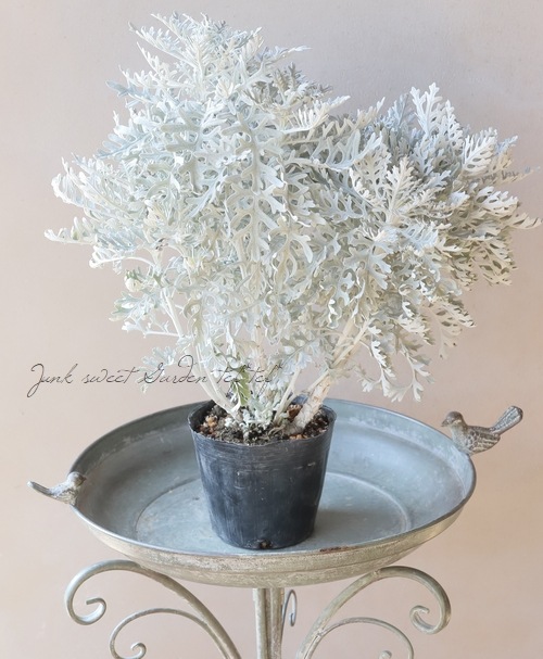 �����ƥ��ߥ顼���������������إ���С������ȡ�